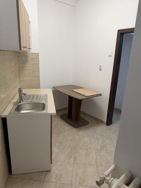 Nicolae Balcescu -Maria Rosseti