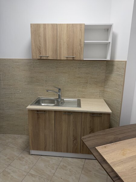 Nicolae Balcescu -Maria Rosseti